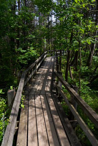 National park wooden trail © blazny