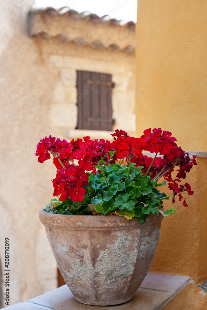 Naklejka premium Red geraniums in a pot in Eze, France