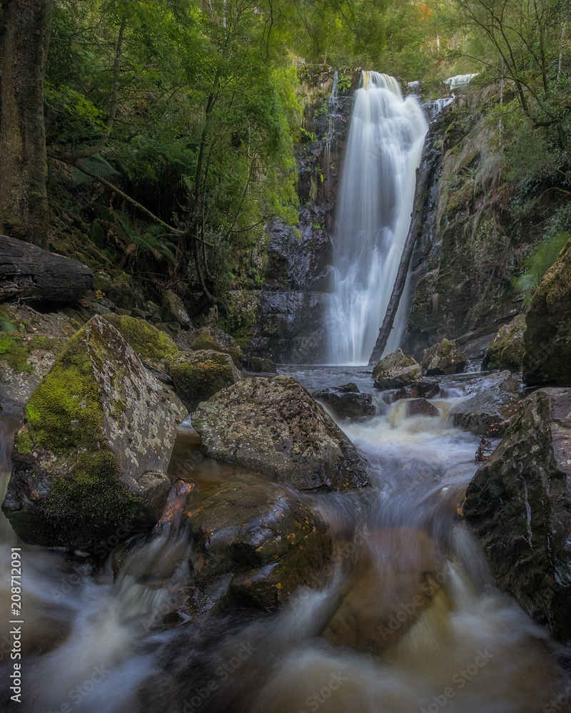 Fototapeta premium Mathinna Falls, Tasmania