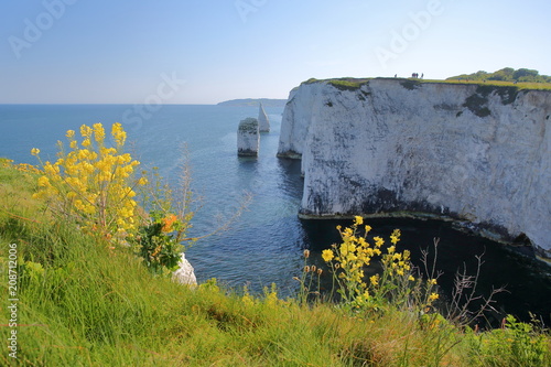 Old Harry Rocks, white cliffs  located at Handfast point near Swanage, Isle of Purbeck, Dorset, UK photo