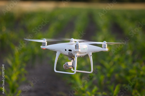 Drone flying above corn field