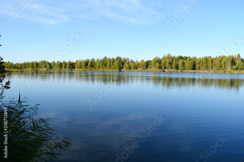 Landscape with a lake, where the forest reflects in water. Beautiful summer scene.