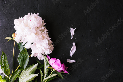 Peonies bouquet on black background photo