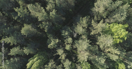 Aerial top view flight over mixed forest on a sunny summer day © GCapture