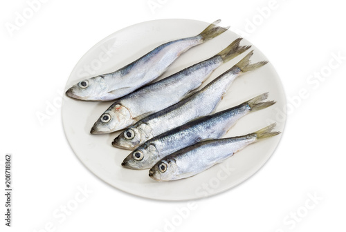 Defrosted baltic herring on the white dish