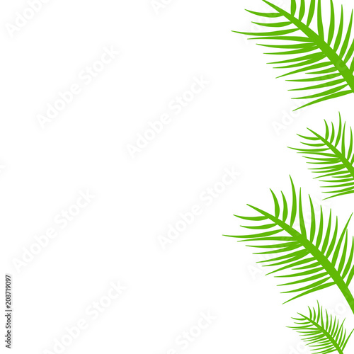 Template with a branch of a green plant