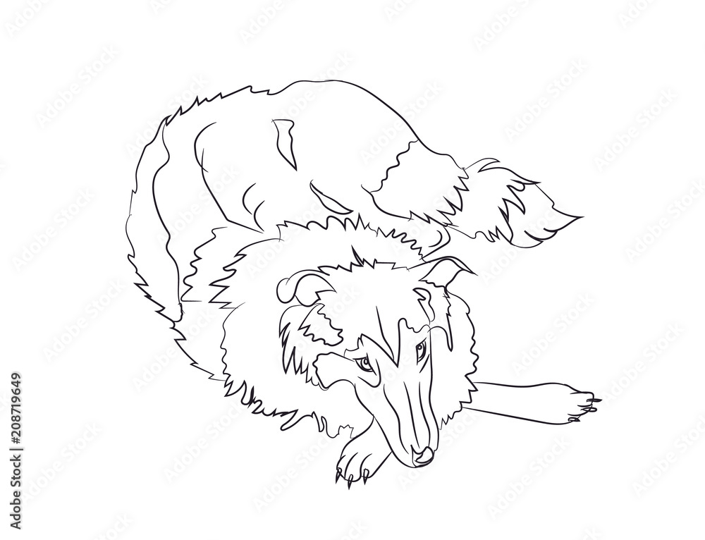 dog lies, lines, vector, dog lies, lines, vector,