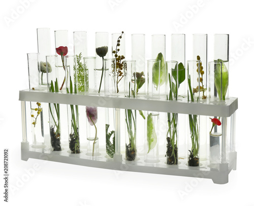 Test tubes with plants in h...