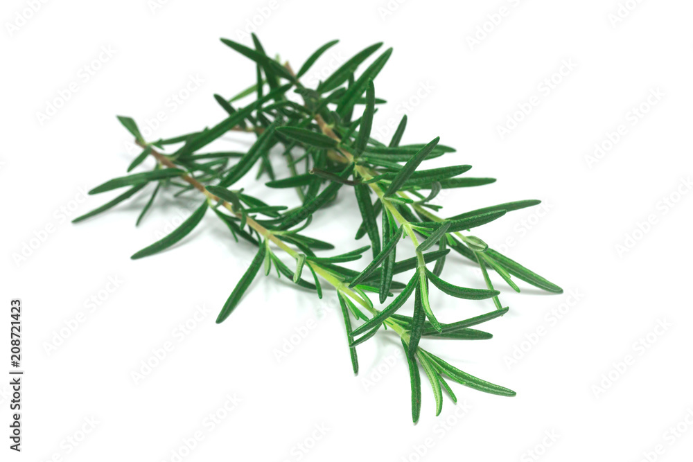 rosemary Leaves isolated on white background
rosemary Leaves isolated on white background