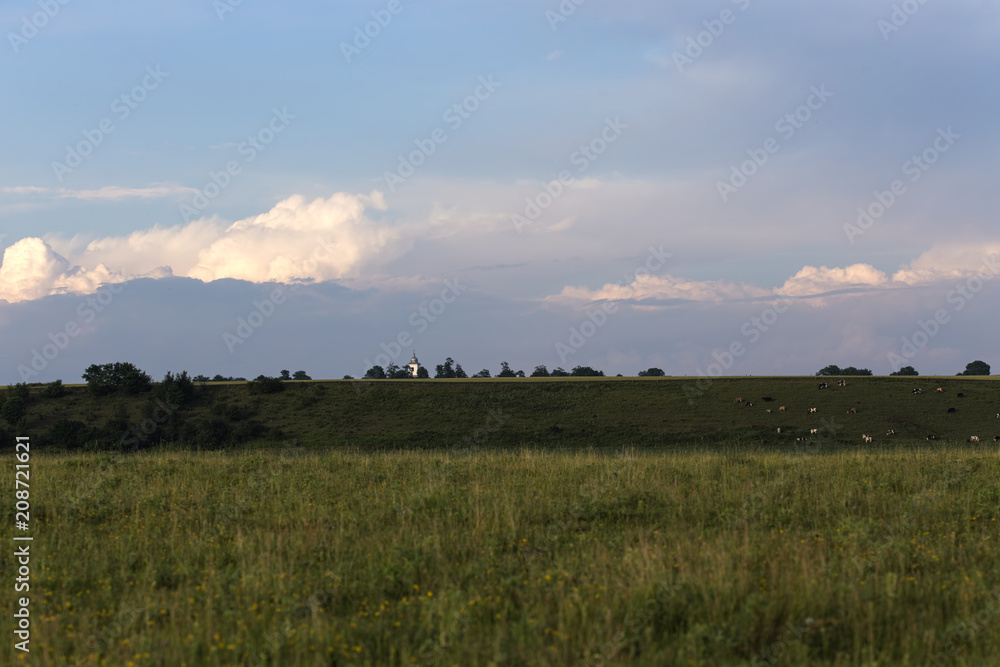 Beautiful Romanian llandscape with cows and one church in background