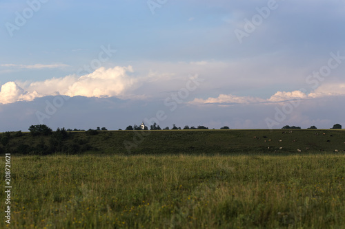Beautiful Romanian llandscape with cows and one church in background