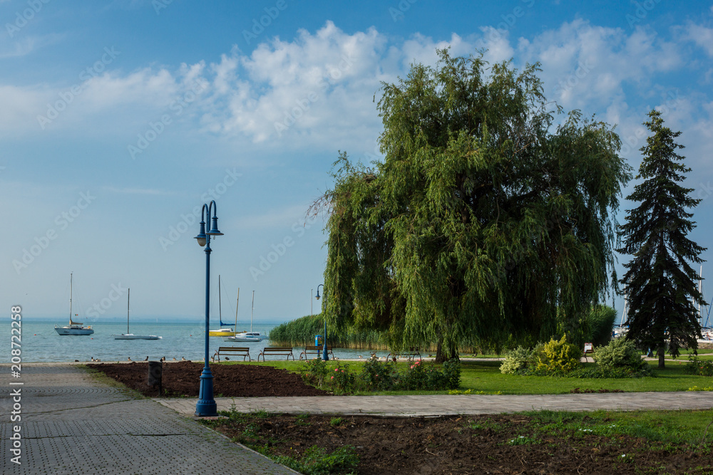 Obraz premium Park in Alsoors near Balaton lake, Hungary