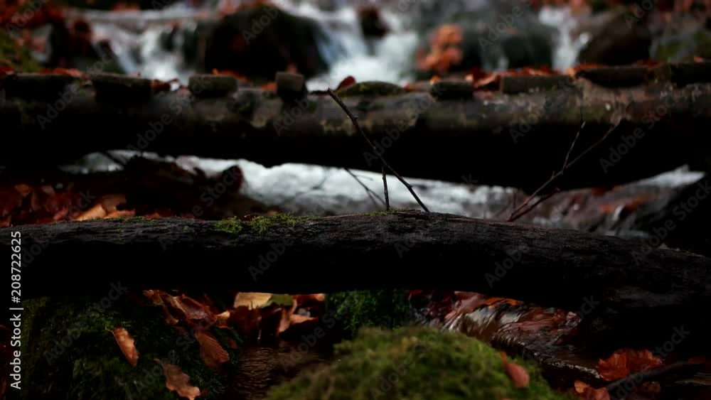 Autumn in the forest mountain stream. Beautiful autumn forest, rocks covered with moss. Mountain river with rapids and waterfalls. View of beautiful creek during the autumn time. Autumn in the forest mountain stream. Beautiful autumn forest, rocks covered with moss. Mountain river with rapids and waterfalls. View of beautiful creek during the autumn time.