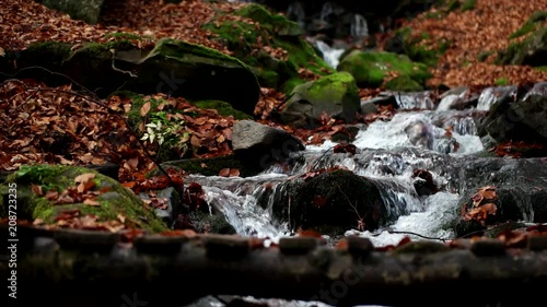 Autumn in the forest mountain stream. Beautiful autumn forest, rocks covered with moss. Mountain river with rapids and waterfalls. View of beautiful creek during the autumn time.