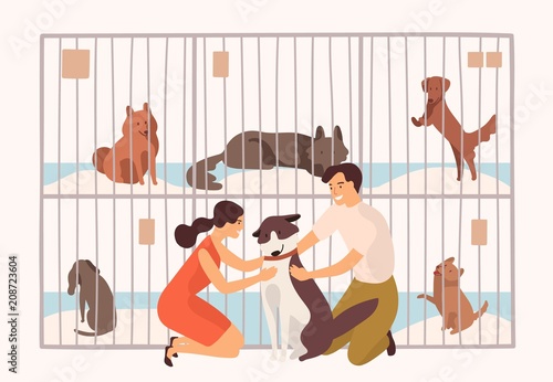 Pair of smiling young man and woman adopting pet from animal shelter, pound, rehabilitation or adoption center for stray and homeless dogs. Colorful vector illustration in flat cartoon style.