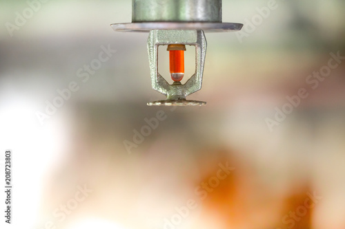 Fire sprinkler head on the ceiling.