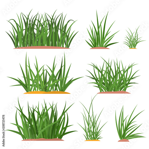 Bunches of green grass on an earthen mound. Design of summer cards. Flat vector cartoon illustration. Objects isolated on a white background.