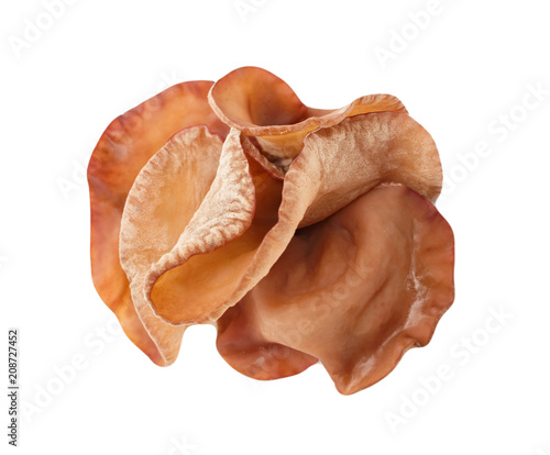Ear mushroom is plant for food herbal (Auricularia auricula-judae)