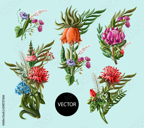 Bouquets with tropical flowers and palm leaves. Vector illustration.