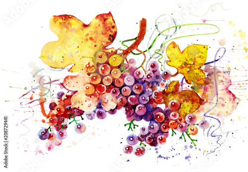 Canvas Print Multi- colored grapes