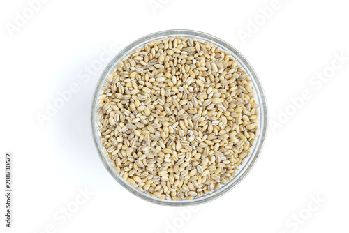 Pearl barley isolated on white background.