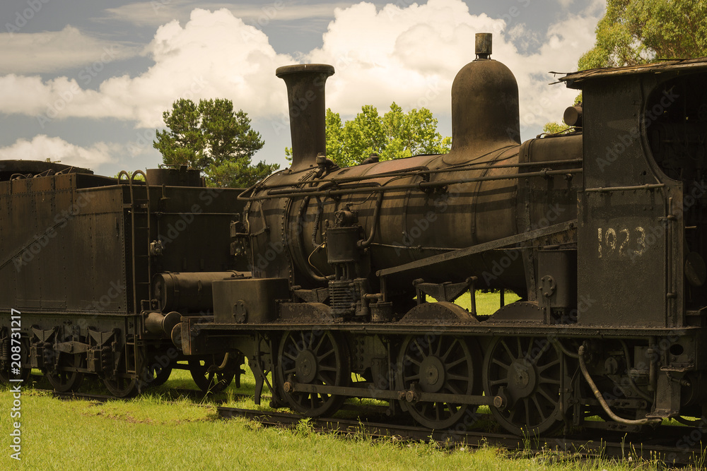 Naklejka premium Old, abandoned steam train engine and coal car. Dorrigo, New South Wales, Australia.