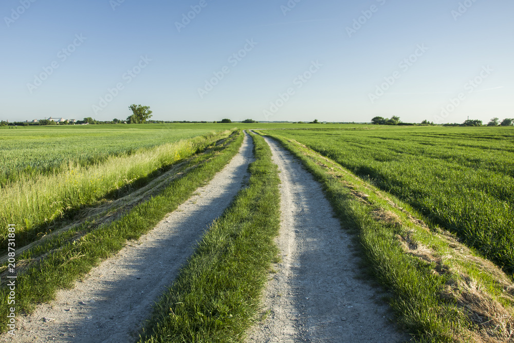 Long road through green fields