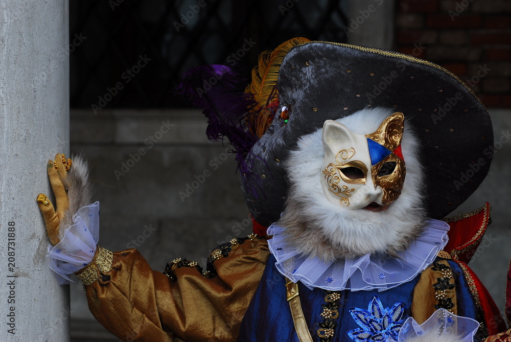 carnival art artist dress suit beauty mask face sorrow Venezia