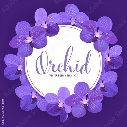 Flower frame of vanda orchid flower with white background template. Vector set of blooming floral for holiday invitations, greeting card and fashion design.