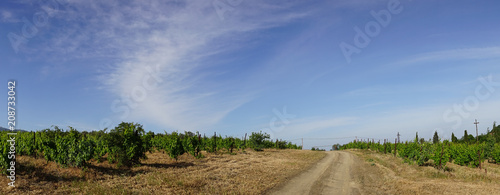 panorama of the natural landscape with the road.