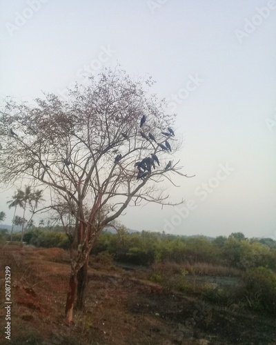 Природа, океан и умиротворение 