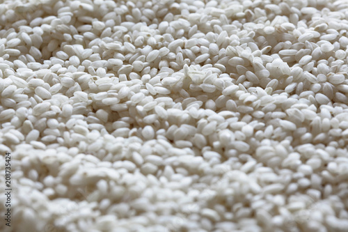 close up on some raw ripe rice
