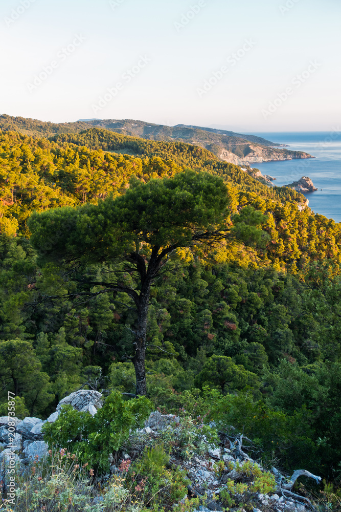 Viewpoint from island backroad to the rocky coast with Agios Ioanis church at sunrise, Skopelos island, Greece