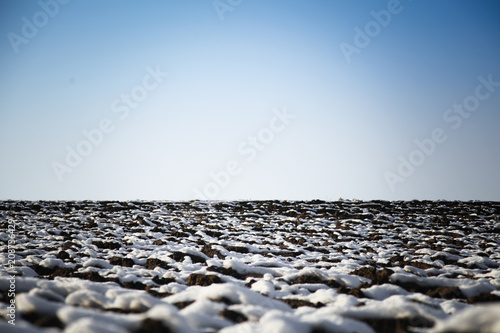 snowy fields