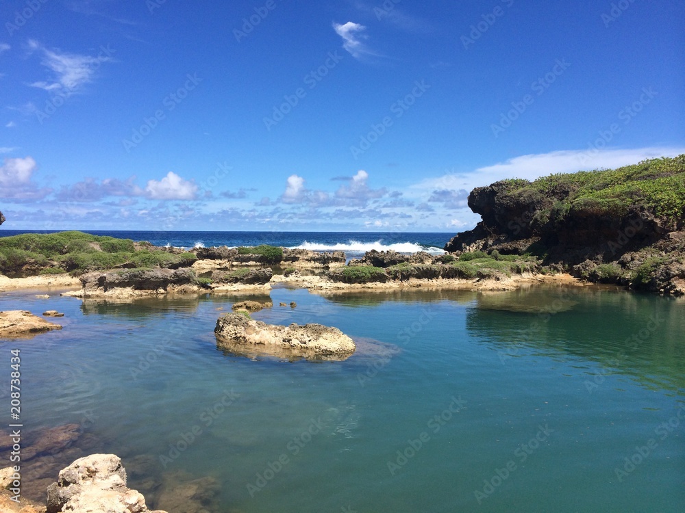 Obraz premium natural landscape