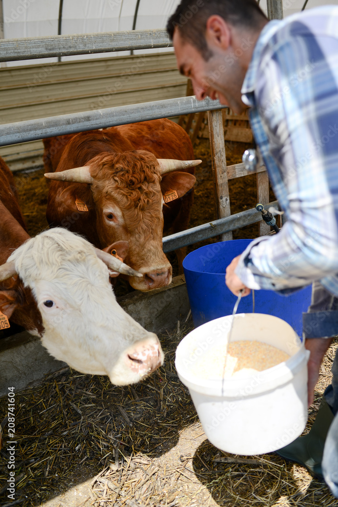 portrait of handsome farmer in a livestock small breeding husbandry ...