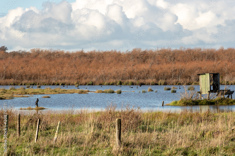 Duck Hunting Blind In New Zealand Lake Wairarapa Duck Hunting Blind In New Zealand Lake Wairarapa