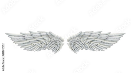 Angel Wings. Looped. Alpha Channel Included.