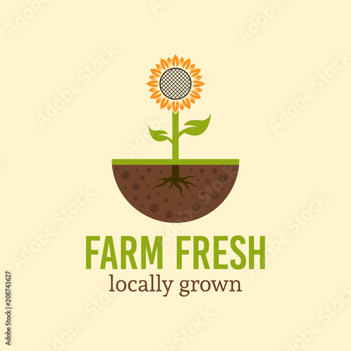 Sunflower sprout from the soil vector logo concept