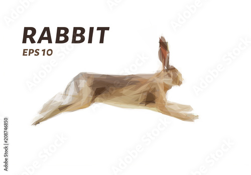 Rabbit of triangles. Lowe poly rabbit. Vector illustration.