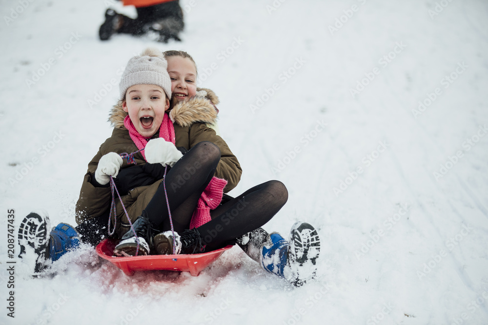 Friends on a Sleigh