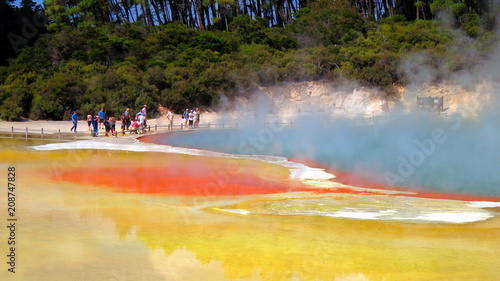 Geyser in Rotorua, New Zealand