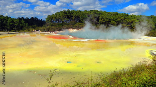 Geyser in Rotorua, New Zealand