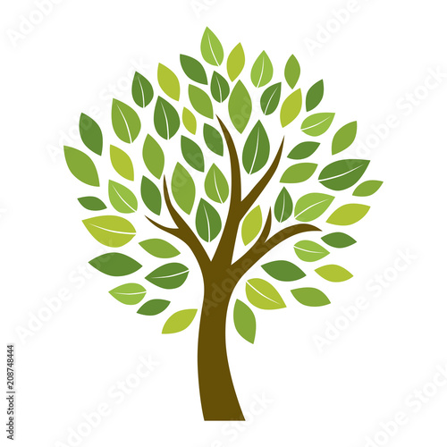 tree