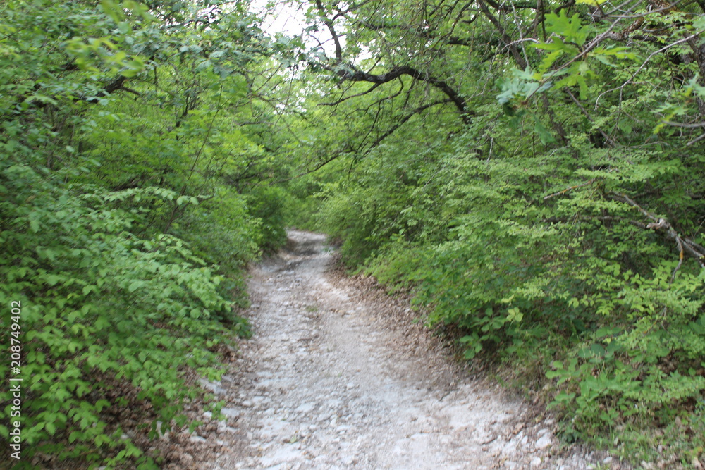 surroundings of the cave city of Bakla, Crimea, Bakhchisarai district, rocky village, nature, beauty, landscapes of the mountain Crimea surroundings of the cave city of Bakla, Crimea, Bakhchisarai district, rocky village, nature, beauty, landscapes of the mountain Crimea