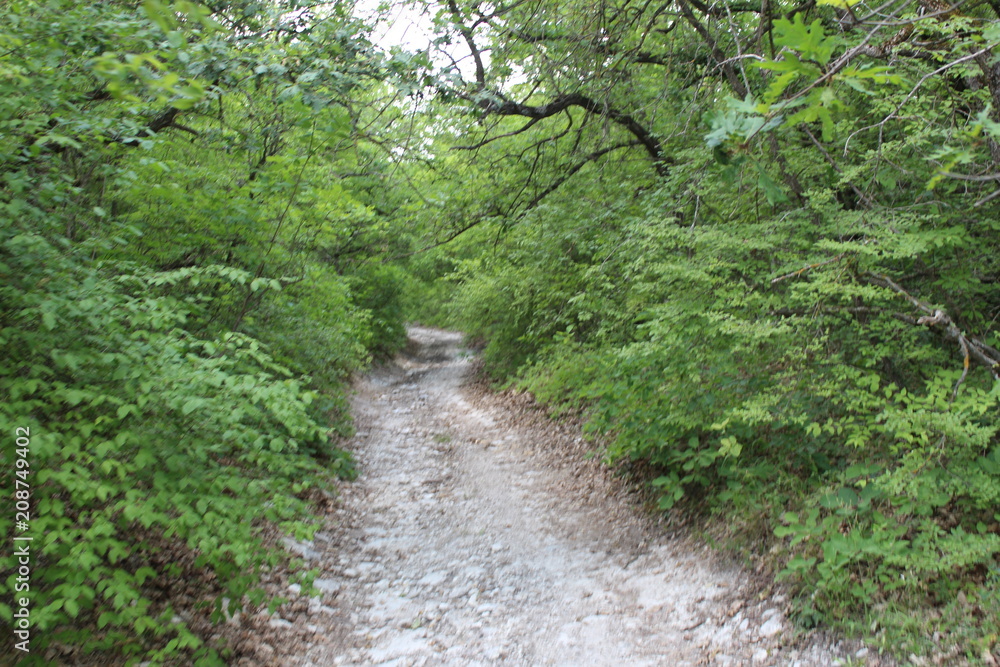 surroundings of the cave city of Bakla, Crimea, Bakhchisarai district, rocky village, nature, beauty, landscapes of the mountain Crimea