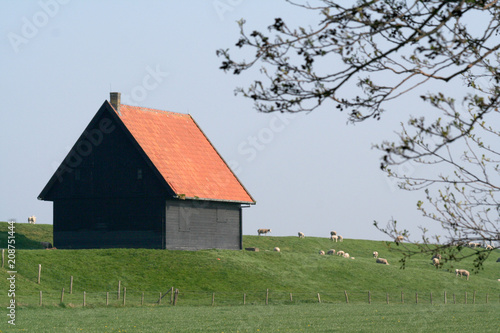Tablou pe pânză Dike house in the polder