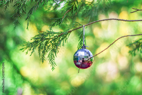 Ornament mini disco ball at tree