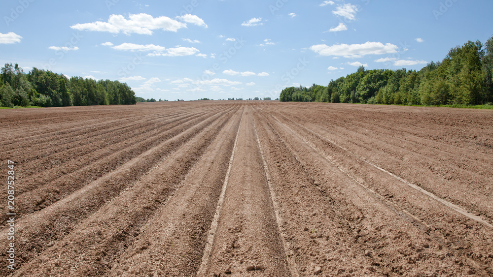 ploughed field with furrows ploughed field with furrows