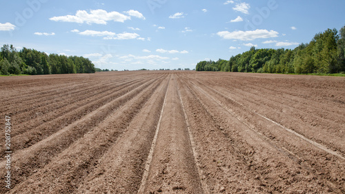 ploughed field with furrows